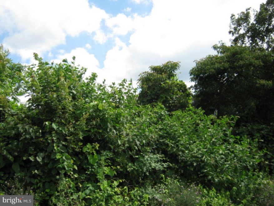 0 Summer Mountain Rd unit 1002312820, New Ringgold, PA 17960 - photo 1