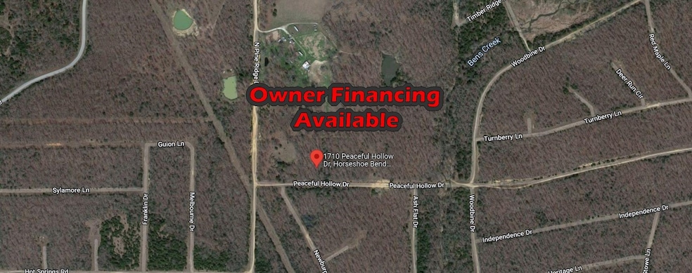 1710 Peaceful Hollow Dr, Horseshoe Bend, AR 72512 - photo 1