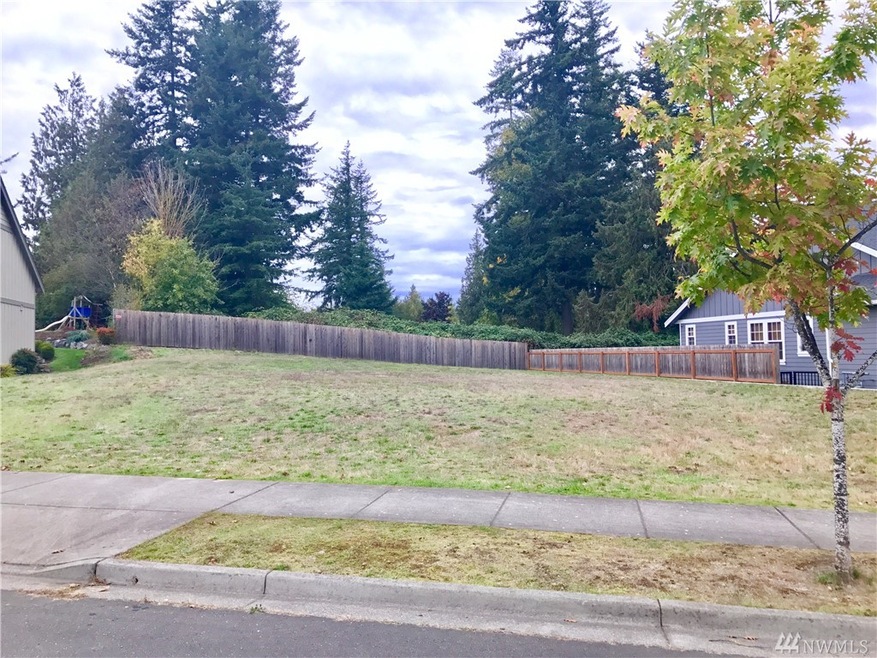 1453 Foxtail St, Lynden, WA 98264 - photo 1