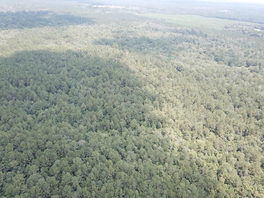 2955 County Road 441, Magnolia Springs, TX 75956 - photo 1