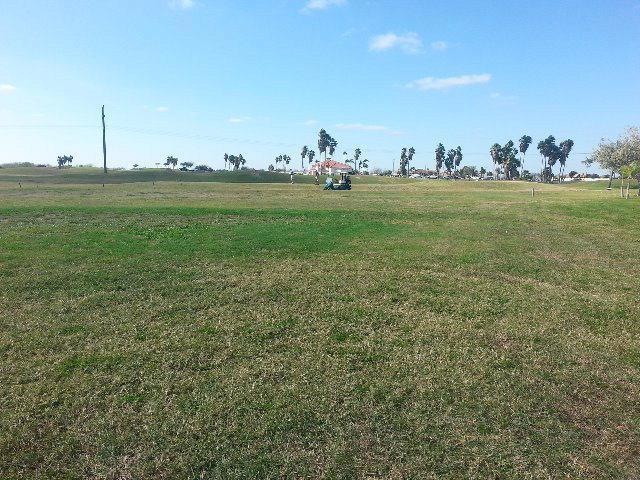 4410 Vida Grande, Weslaco, TX 78596 - photo 1