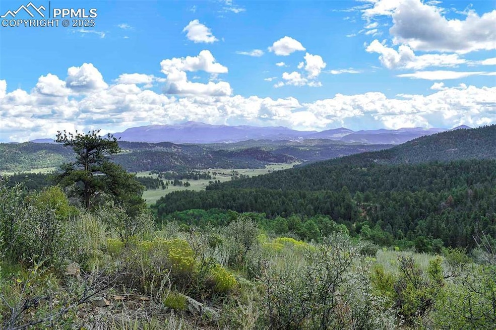 231 Deer Ln, Guffey, CO 80820 - photo 1