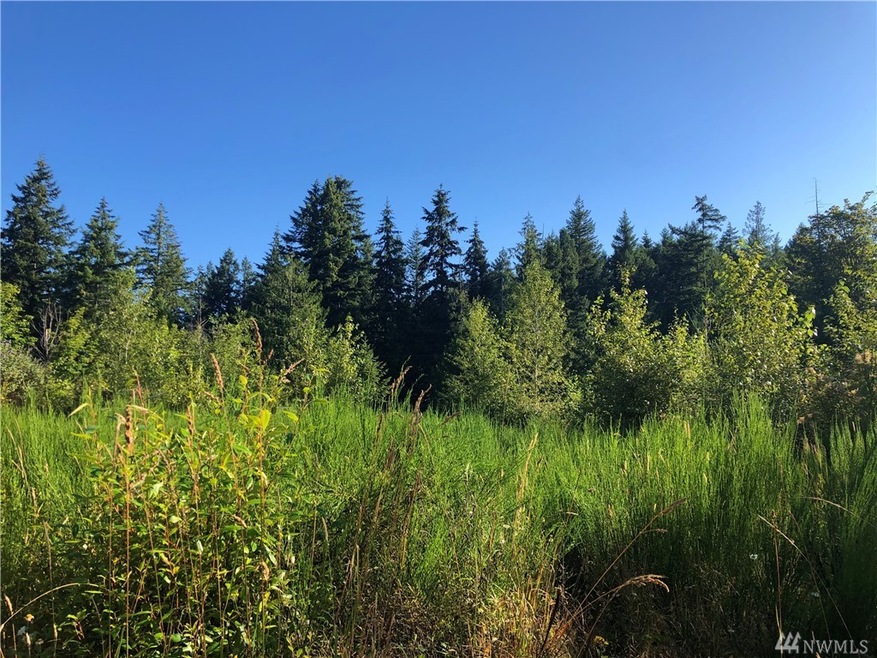 0 Bald Hills Rd SE unit 1640352, Yelm, WA 98989 - photo 1