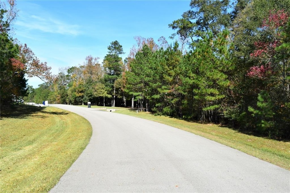 0 Sky Forest Cir unit 81641979, Magnolia, TX 77355 - photo 1