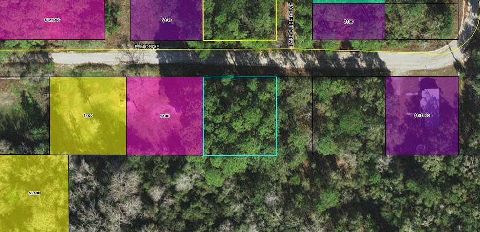 XXX Pam Dr, Crawfordville, FL 32327 - photo 1