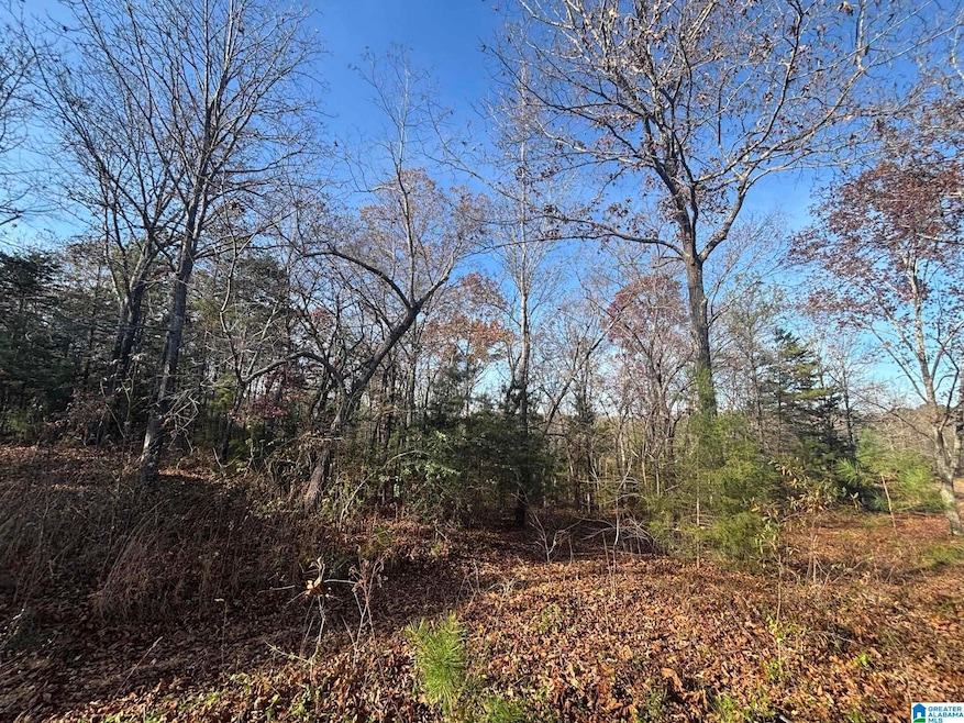 0 Smith Ln, Talladega, AL 35160 - photo 1