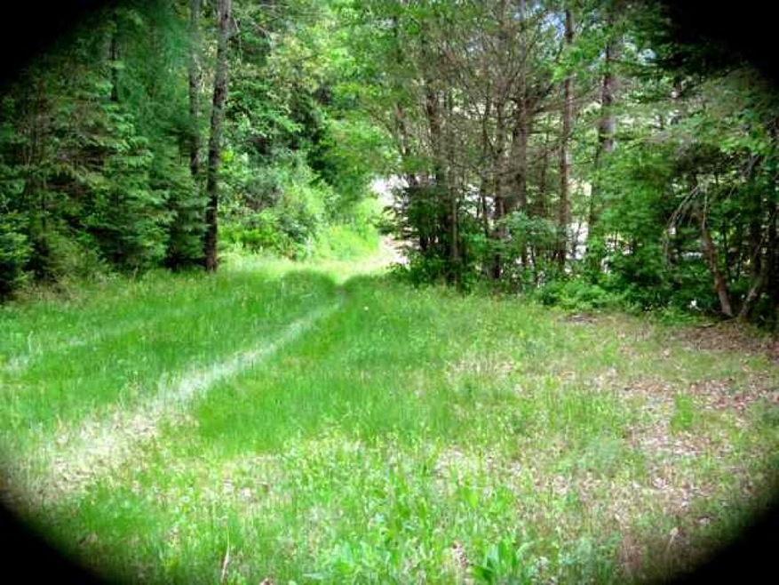 9 Nh Route 145, Colebrook, NH 03576 - photo 1