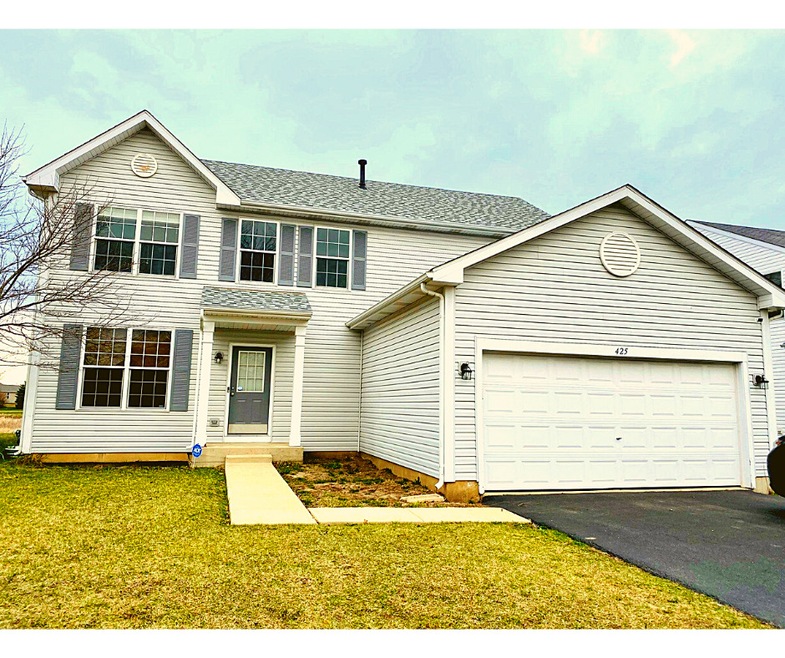 425 Grape Vine Trail, Oswego, IL 60543 - photo 1
