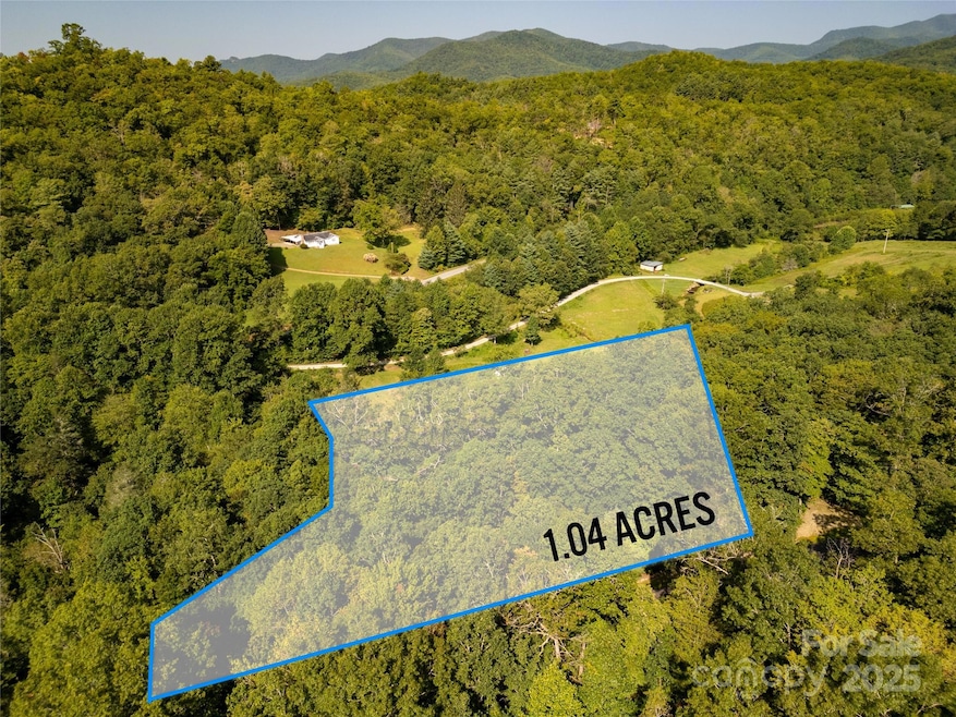 Lot 7 Sweetwater Ridge Rd unit 7, Balsam Grove, NC 28708 - photo 1