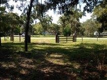 2340 Black Oak Rd, Perry, FL 32348 - photo 1