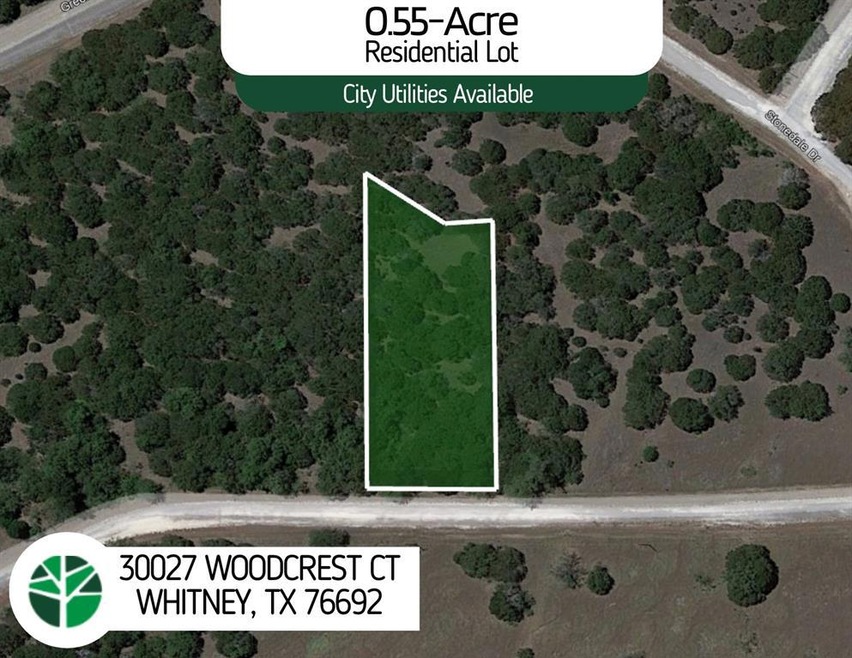 30027 Woodcrest Ct, Whitney, TX 76692 - photo 1