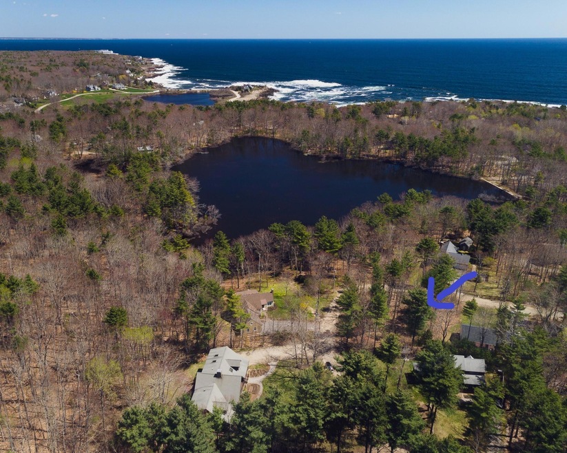 Aerial with pond and ocean background