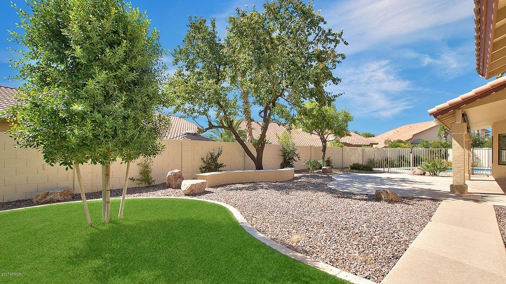 Backyard 4