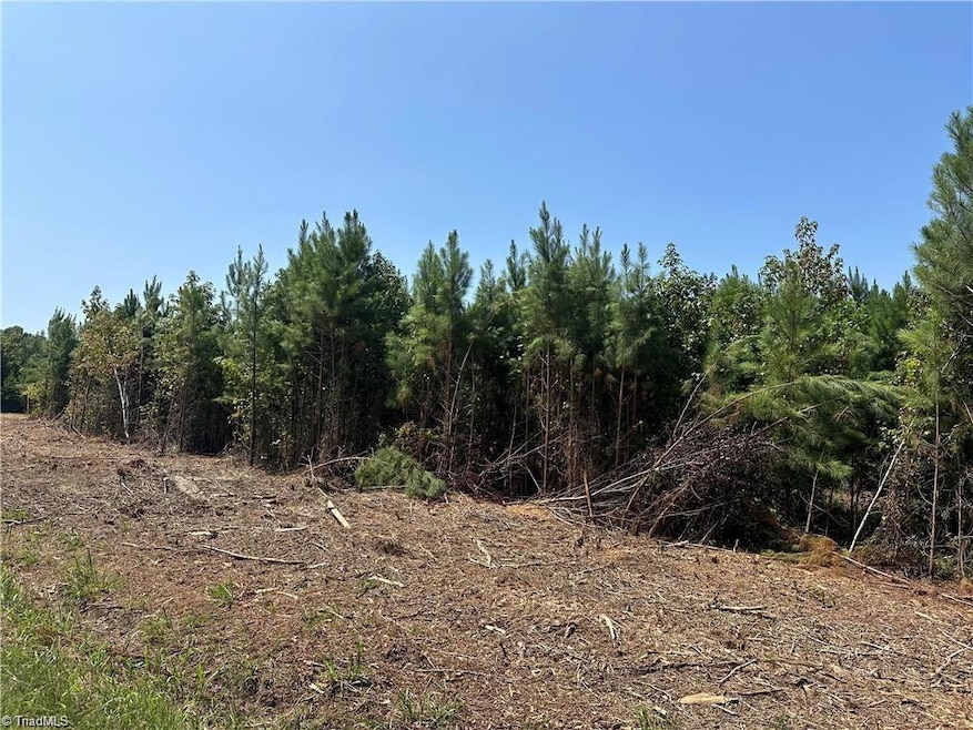 New Tract A3 Beane Country Rd, Asheboro, NC 27205 - photo 1