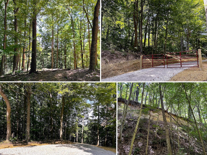 0 Parkinson Rd unit (Tract 8 at Titus), Dexter, OH 45741 - photo 1