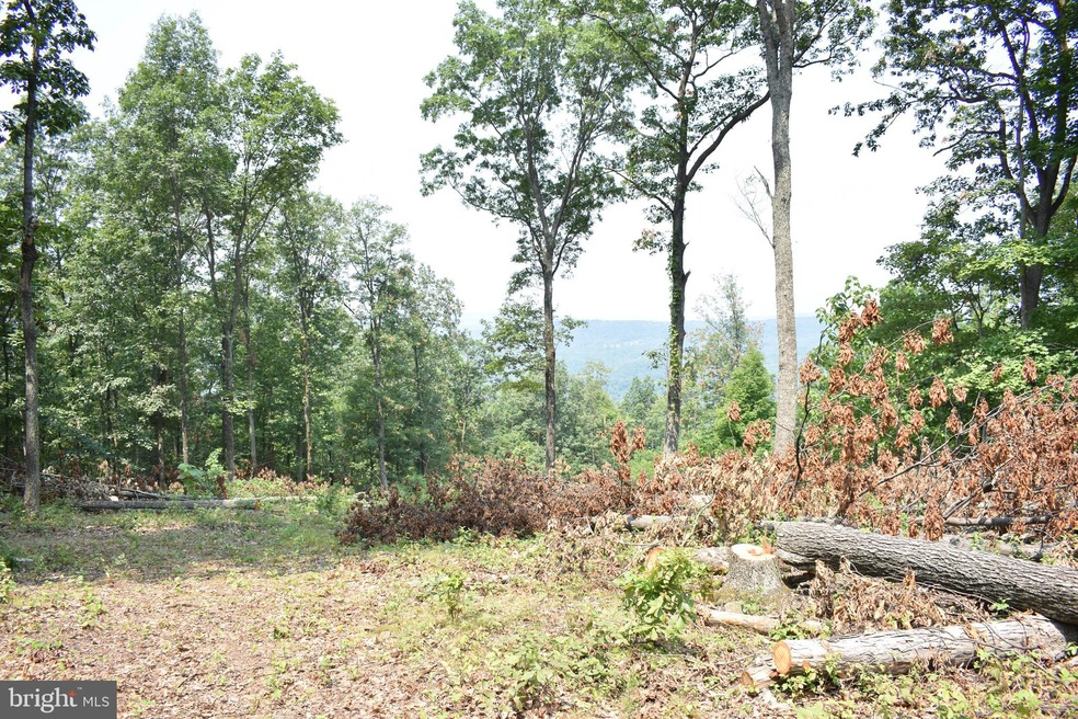 0 Tanglewood Dr, Augusta, WV 26704 - photo 1