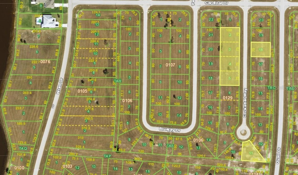 11 Cockatiel Way, Cape Haze, FL 33946 - photo 1