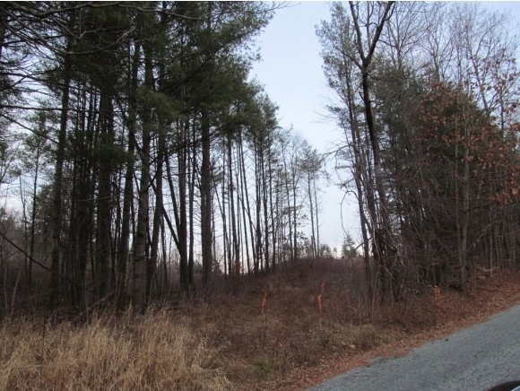 0 Thrasher Rd unit 2, Claremont, NH 03743 - photo 1