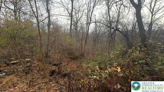 0 W Lafayette St, Easton, PA 18042 - photo 1