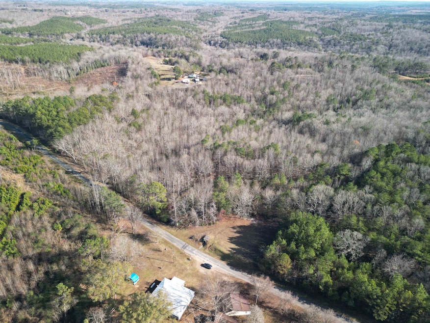 2484 Hoggle Ridge Rd, Haleyville, AL 35565 - photo 1