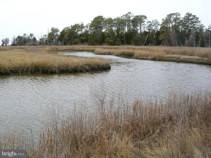 1748 E Tedious Creek Rd, Toddville, MD 21672 - photo 1