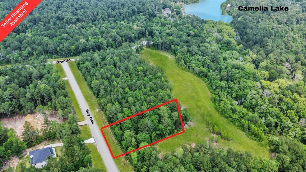 No backyard neighbors