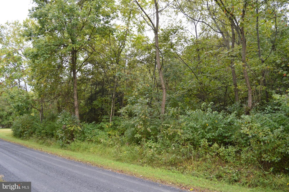 0 Deer Rapids Rd unit 1000122019, Strasburg, VA 22657 - photo 1