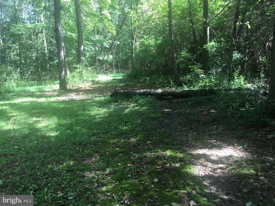 6735 Bristol Oak Place, Indian Head, MD 20640 - photo 1