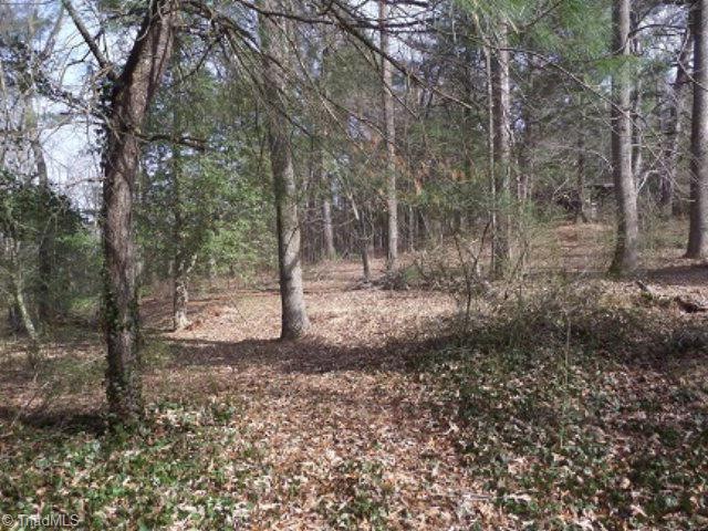 L 18 Mountain Meadow Ln, Purlear, NC 28665 - photo 1