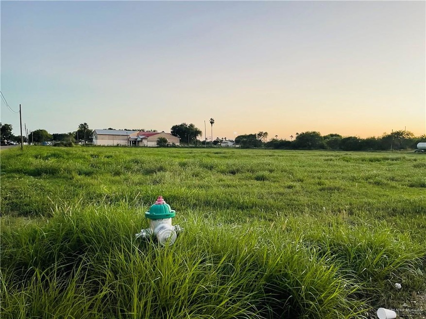 904 Baize Ave, Donna, TX 78537 - photo 1