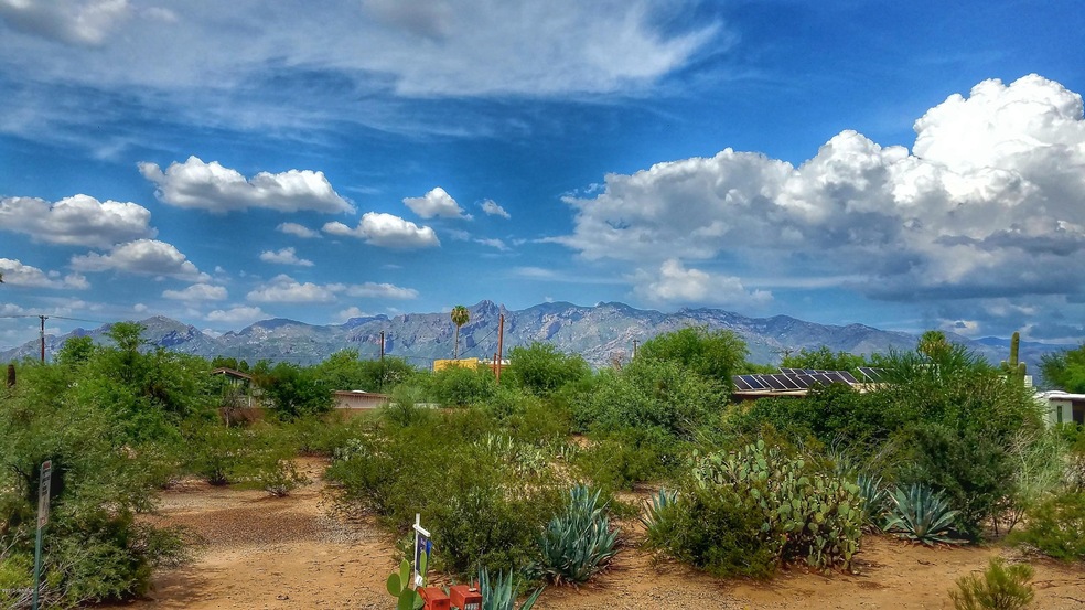 2321 E Greenlee Rd unit 2321, Tucson, AZ 85719 - photo 1