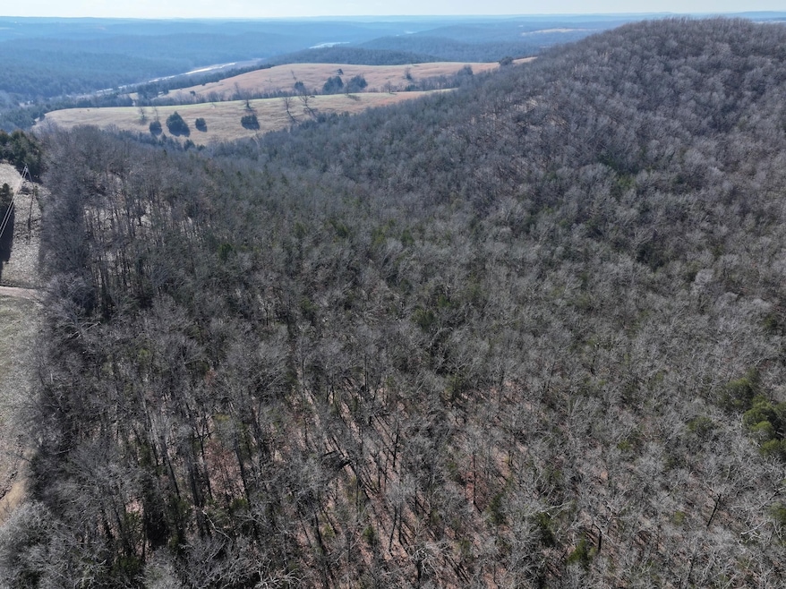 000 Hwy 160, Gainesville, MO 65655 - photo 1