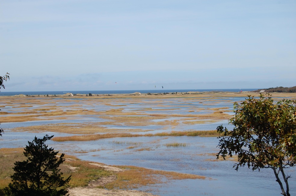 High Tide