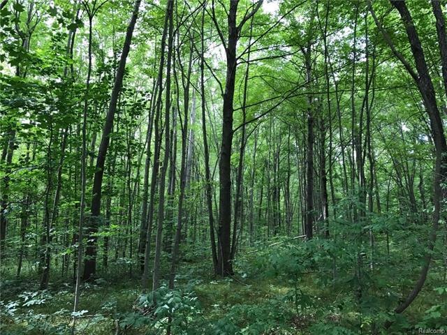 Hardwoods throughout