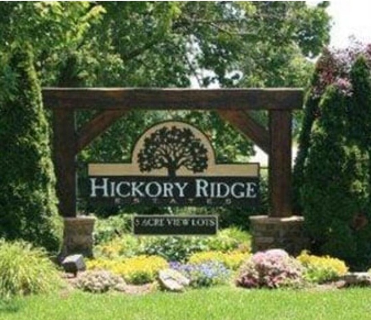 290 Newbury Rd, Reeds Spring, MO 65737 - photo 1