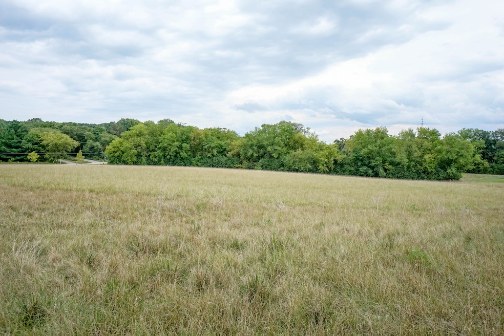 Lot View