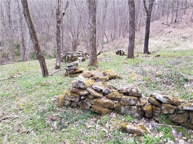 10 Acres Lickskillet Rd unit 5 & 9, Cane River, NC 28714 - photo 1