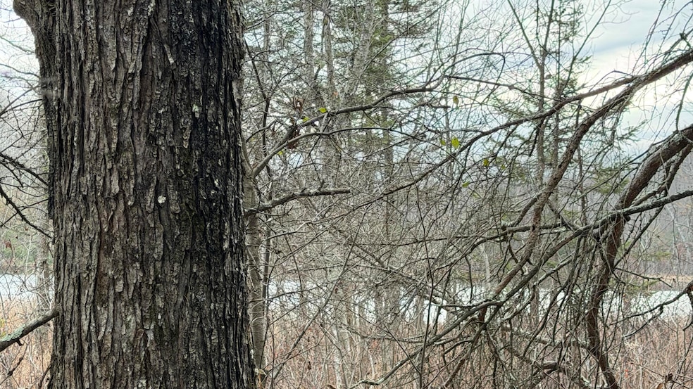 Lt3 Boat Landing 11 Rd, Athelstane, WI 54104 - photo 1