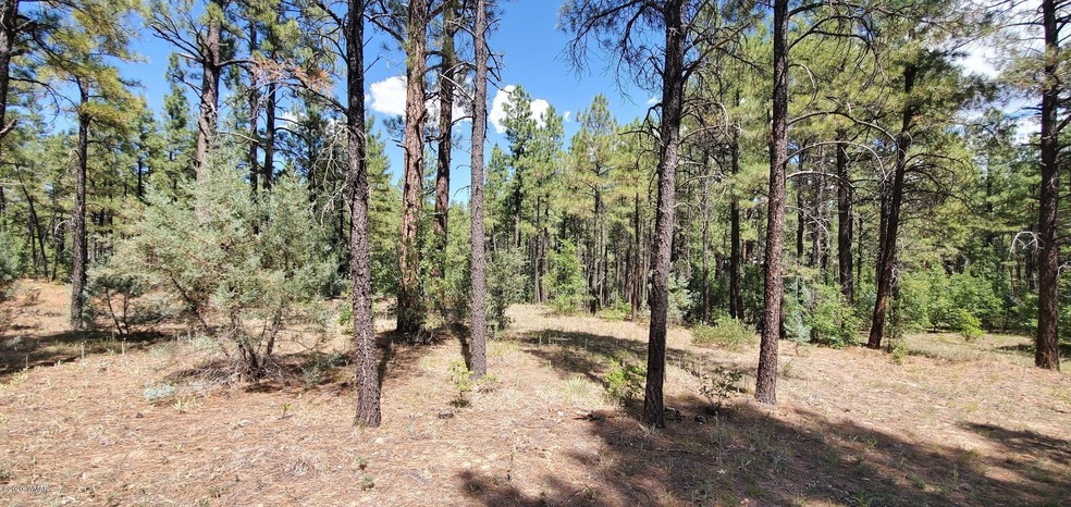 2250 S Trillium Ln, Show Low, AZ 85901 - photo 1