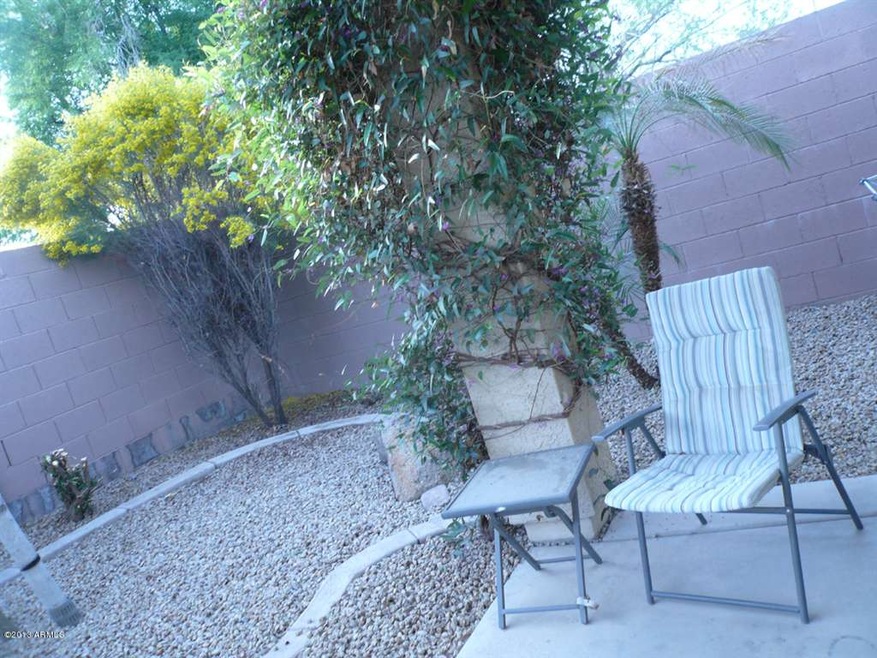 Thuy Patio