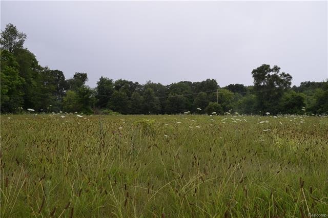 DSC_0090.JPG