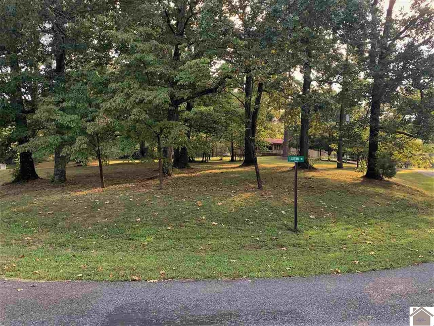 000 Lakeway Dr, Murray, KY 42071 - photo 1