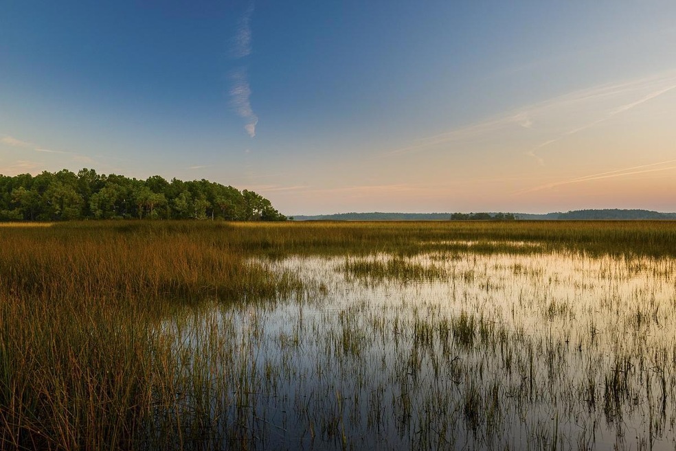 marsh aerial mls
