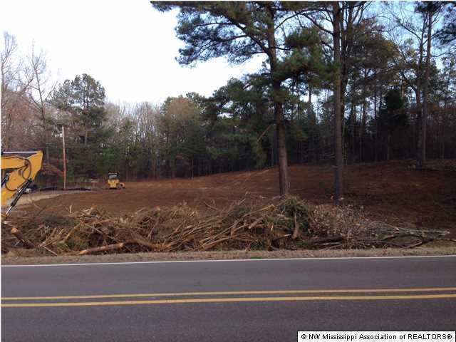 2400 Jaybird Rd, Hernando, MS 38632 - photo 1
