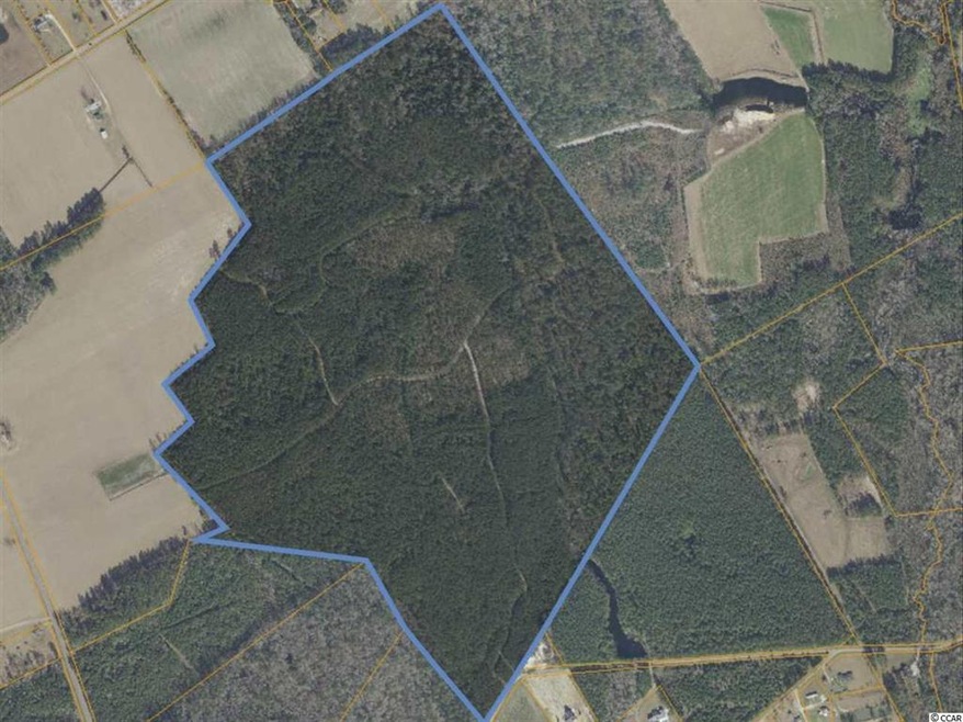 TBD Norris Rd unit Brown Bay 3----175 a, Conway, SC 29526 - photo 1