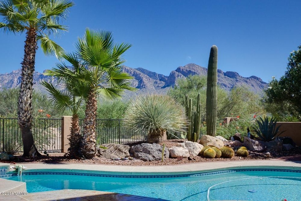 Back yard pool/view