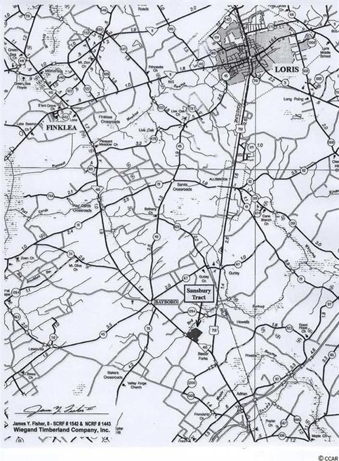 0 S Carolina 410, Aynor, SC 29511 - photo 1