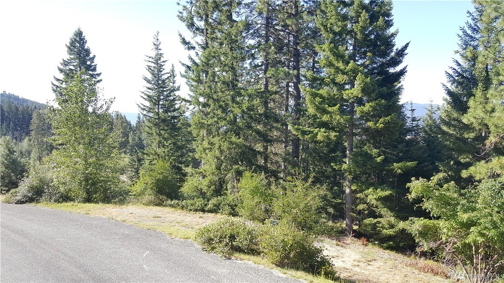 0 Breckenridge Dr unit 1006445, Ronald, WA 98940 - photo 1