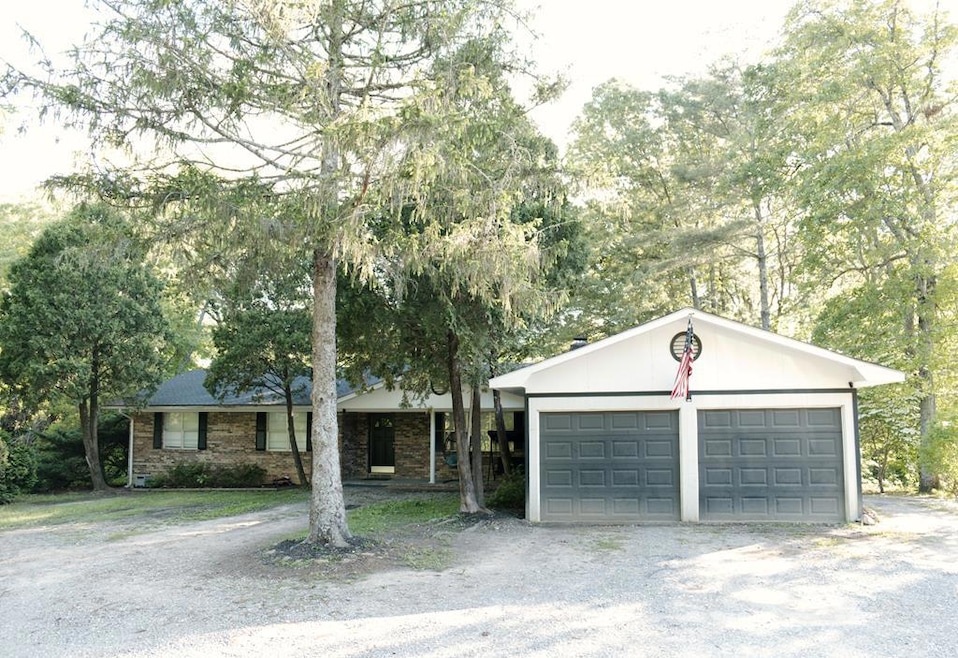 Main View