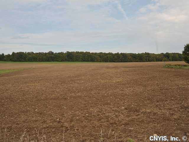 Exterior Front Lot 4 E Sorrell hill Road